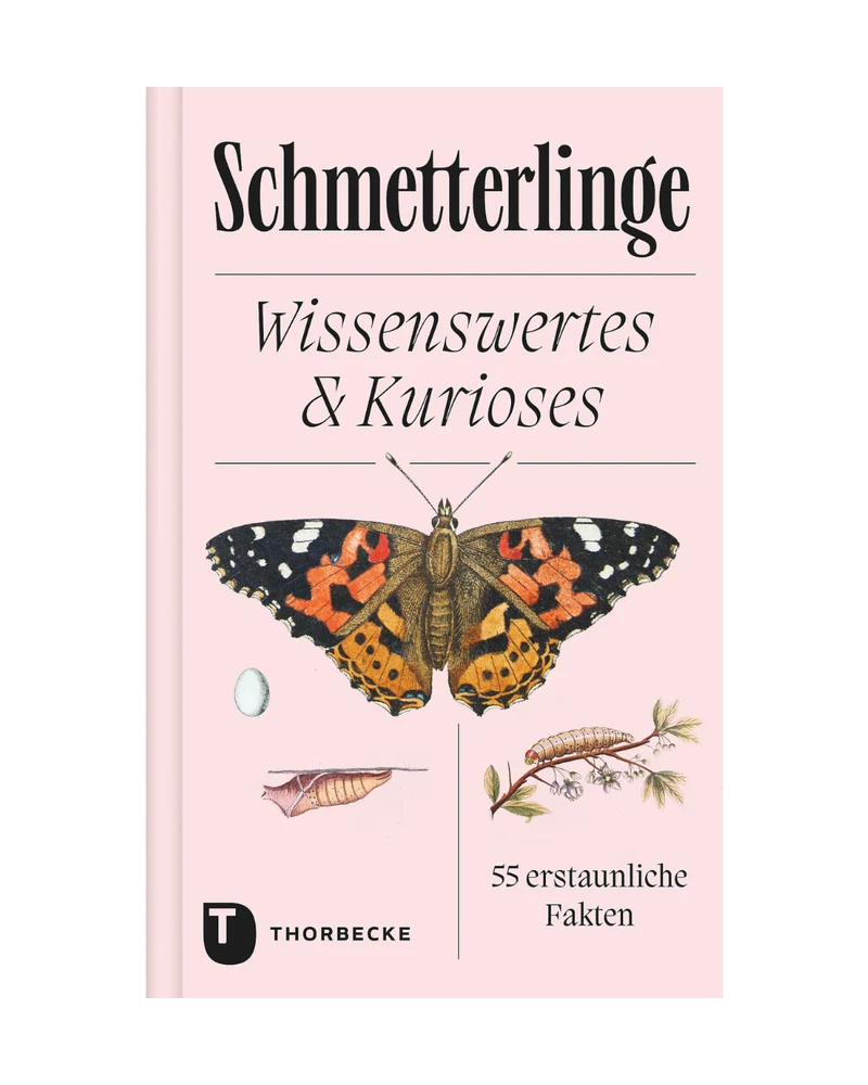 Schmetterlinge | Wissenswertes & Kurioses