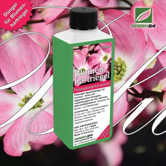 Blumenhartriegel-Dünger