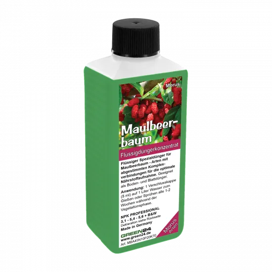 Maulbeerbaum-Dünger