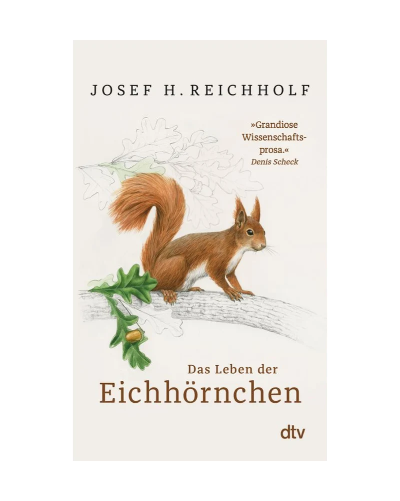 Das Leben der Eichhörnchen | Was wissen wir eigentlich über die kleinen Nager?