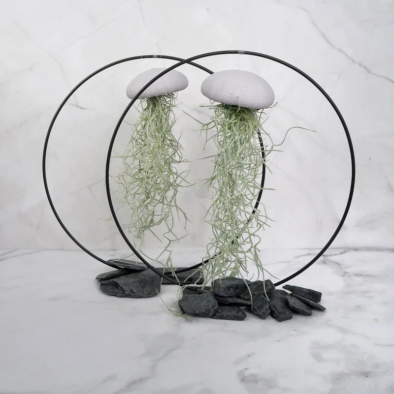 TILLANDSIA USNEOIDES - LAVENDER