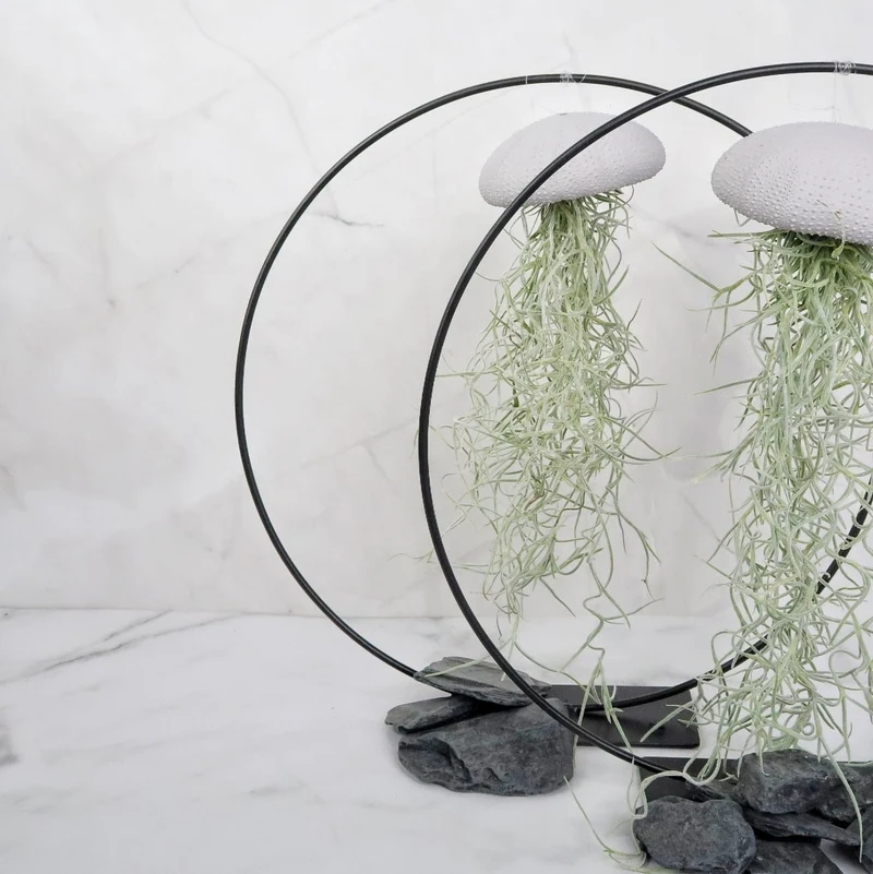 TILLANDSIA USNEOIDES - LAVENDER