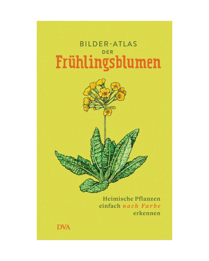 Bilder-Atlas der Frühlingsblumen | Vielfalt heimischer Frühlingsblüher