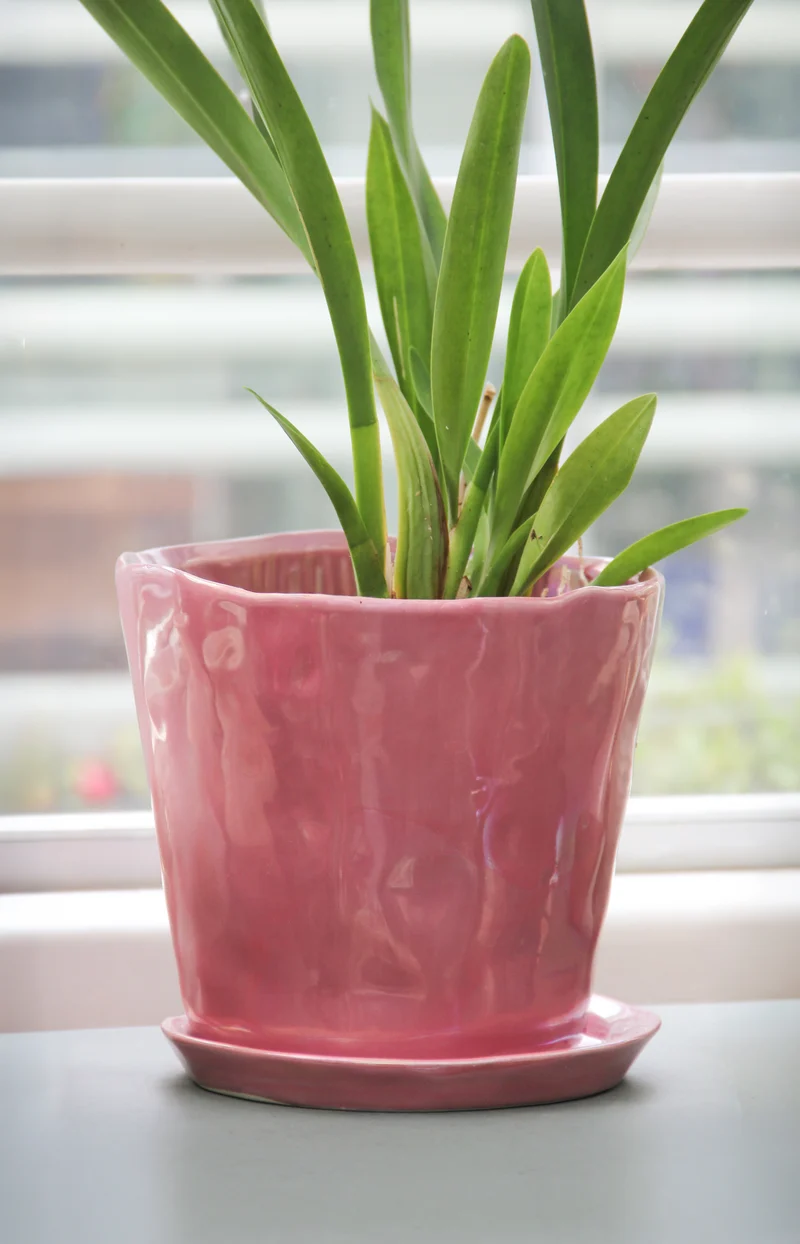 Des Pots | Blumentopf aus glasierten Keramik in Pink H 15.5 Ø 18 cm