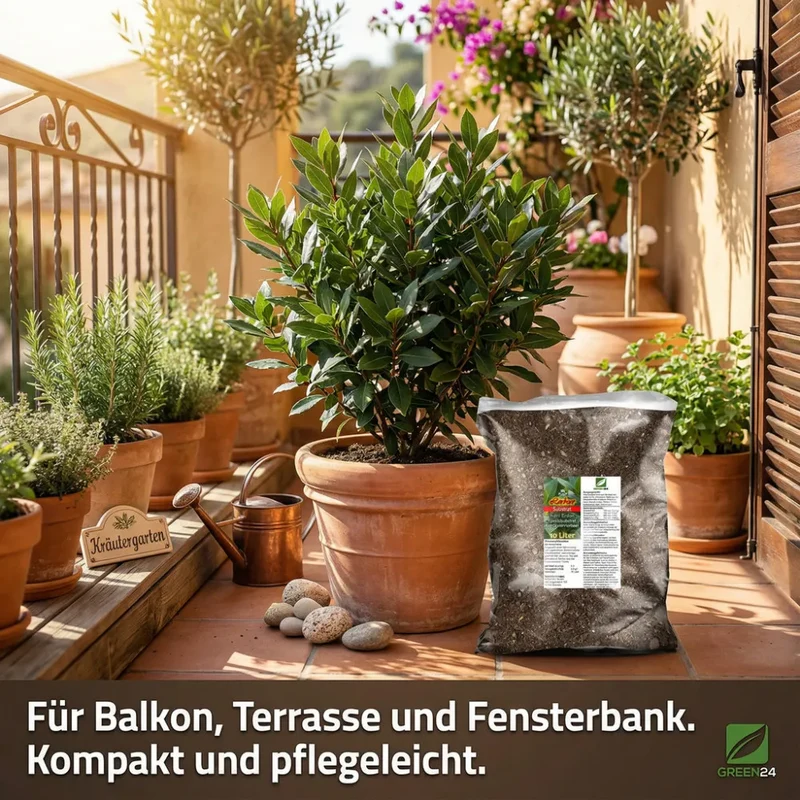 Gewürzlorbeer-Erde