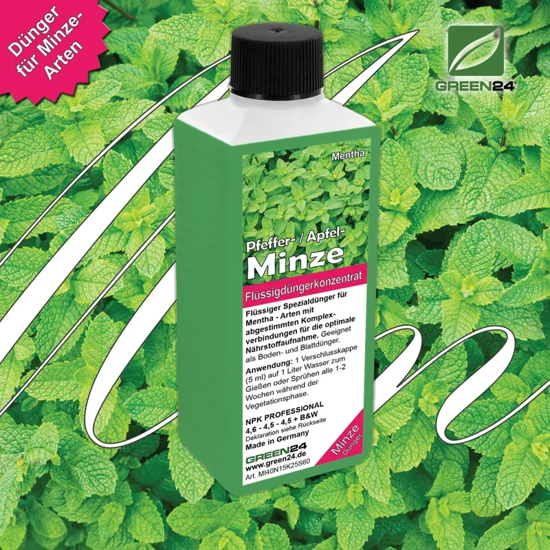 Minze-Dünger