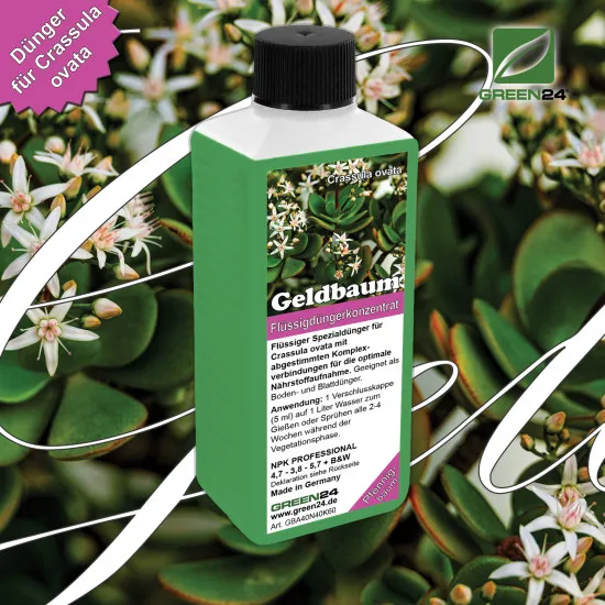 Geldbaum-Dünger