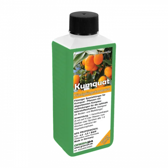 Kumquat-Dünger