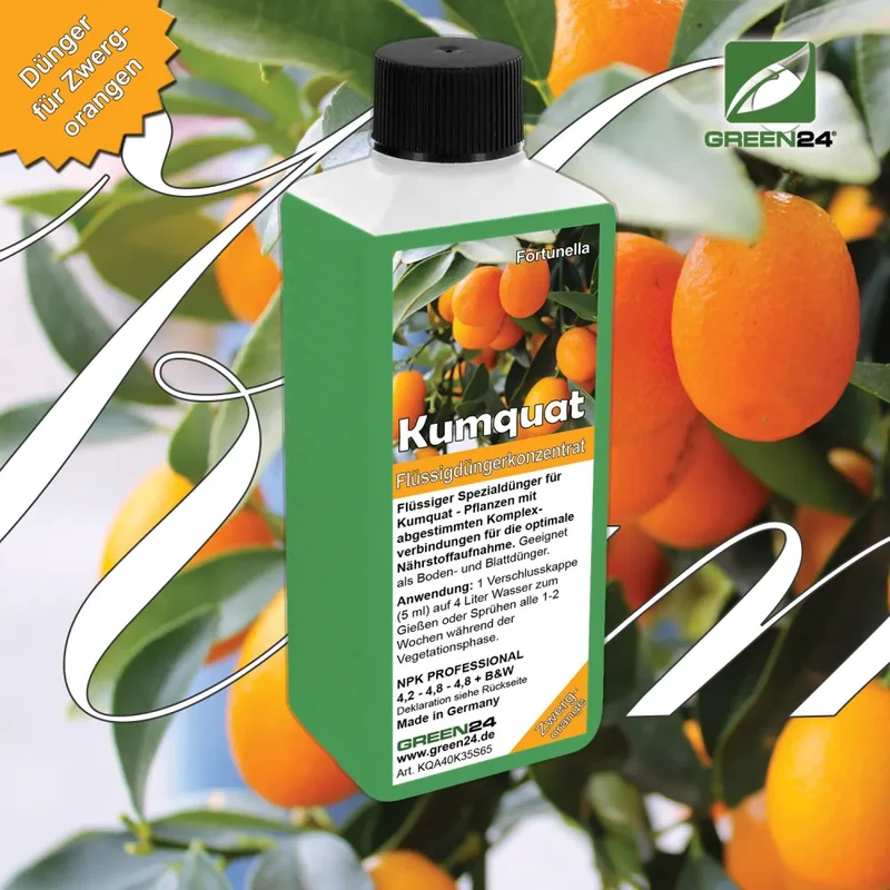 Kumquat-Dünger