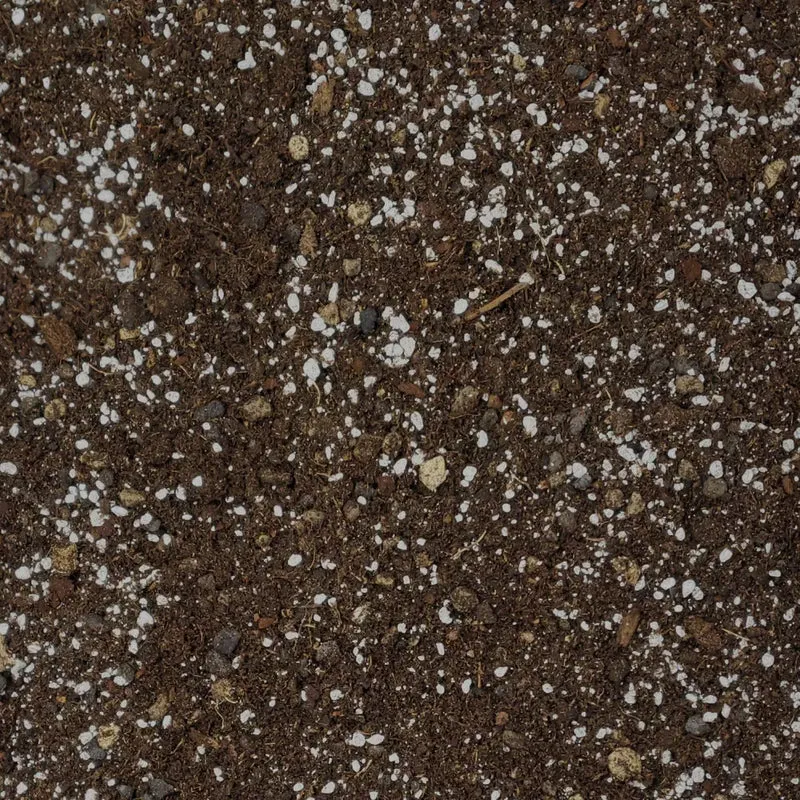 Hoya-Erde