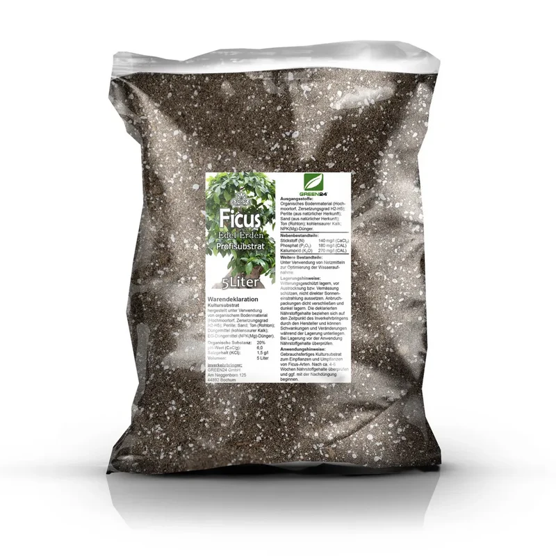 Ficus-Erde
