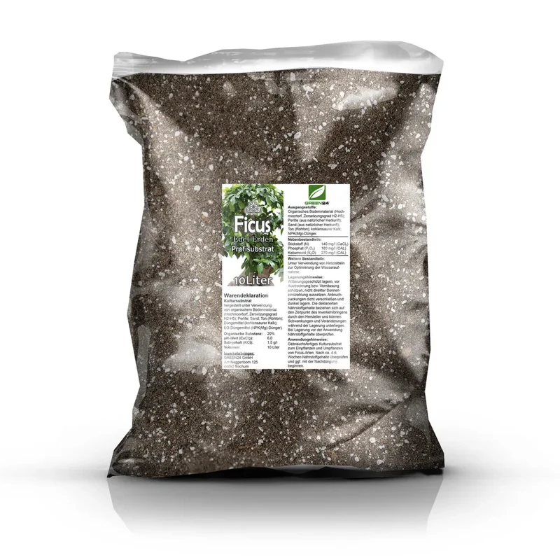 Ficus-Erde