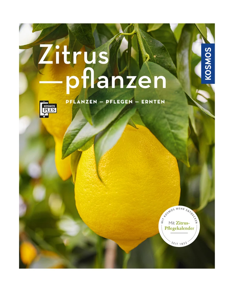 Zitruspflanzen | Gestalten, pflanzen & ernten