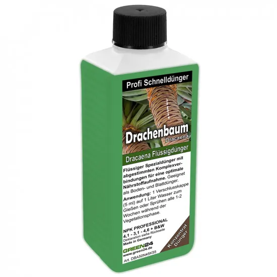Drachenbaum-Dünger