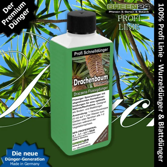 Drachenbaum-Dünger