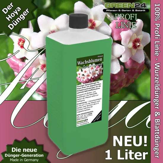 Hoya-Dünger