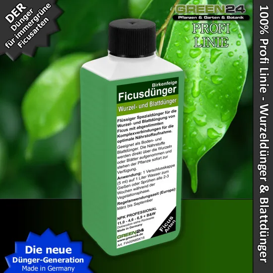 Ficus-Dünger