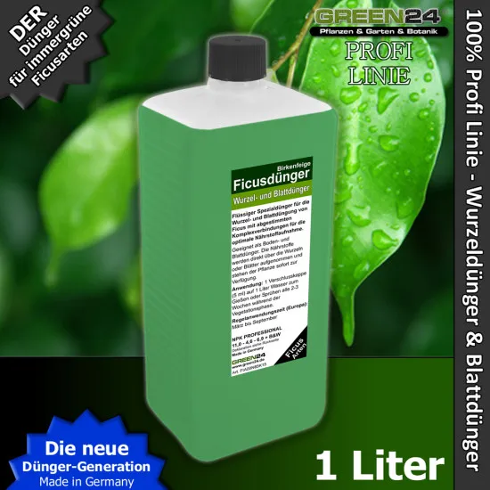 Ficus-Dünger