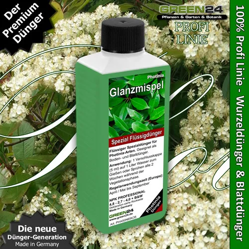 Glanzmispel-Dünger (Photinia)