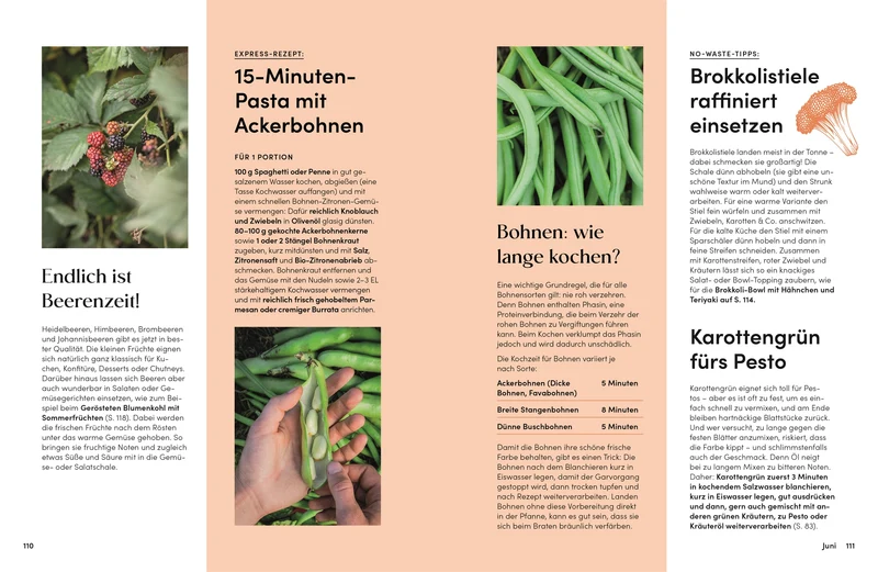 Das Gemüsekisten Kochbuch