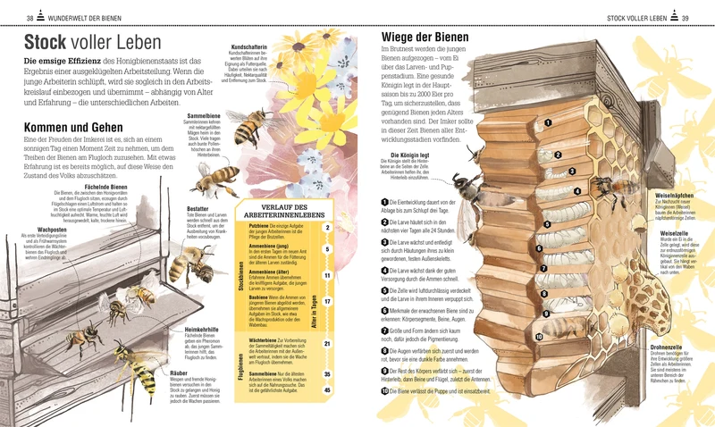 Das Bienen Buch | Bienen verstehen, schützen und halten