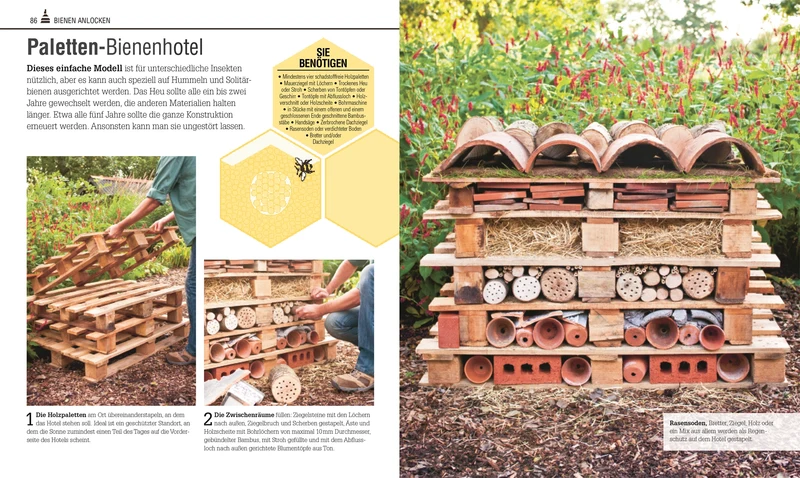 Das Bienen Buch | Bienen verstehen, schützen und halten