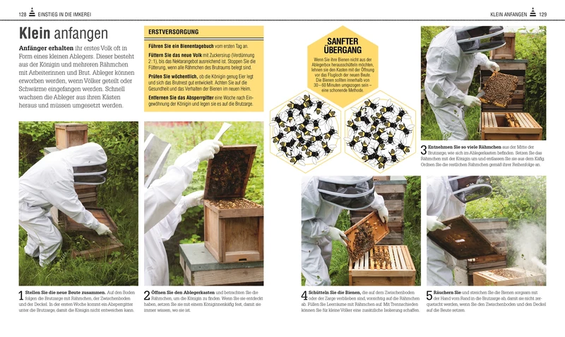 Das Bienen Buch | Bienen verstehen, schützen und halten