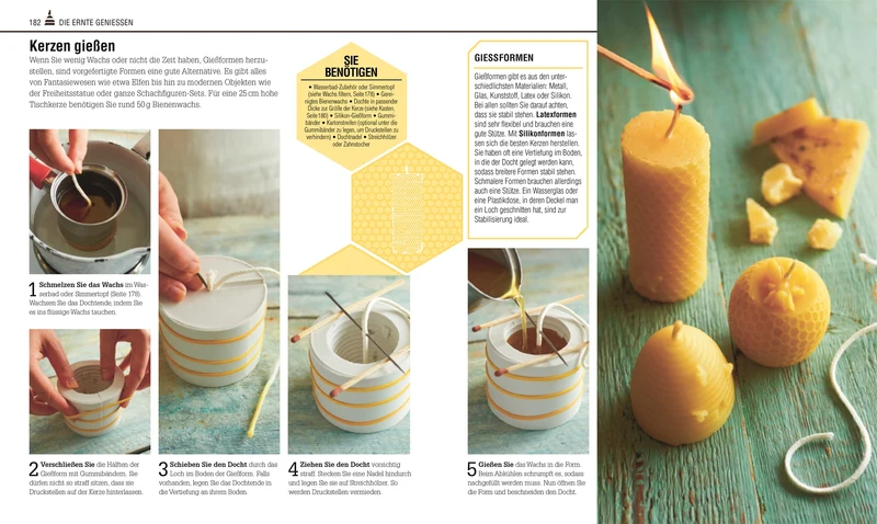 Das Bienen Buch | Bienen verstehen, schützen und halten