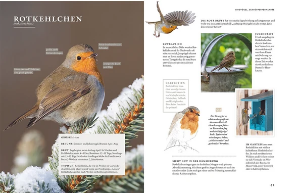 Das Buch der Gartenvögel