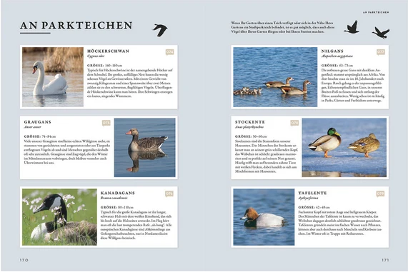 Das Buch der Gartenvögel