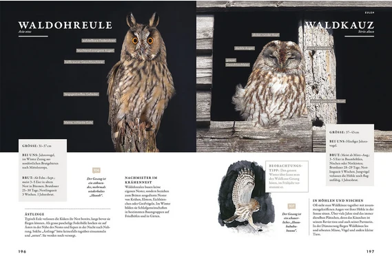 Das Buch der Gartenvögel
