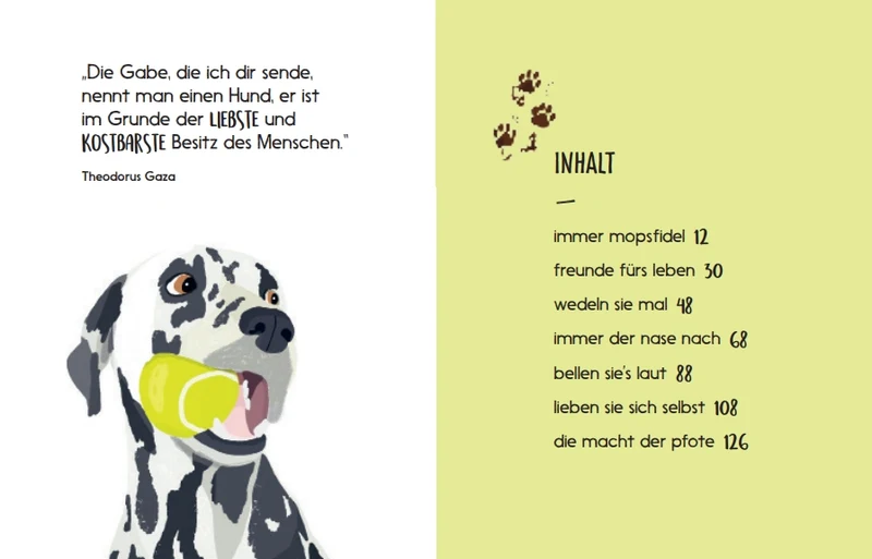 Be More Dog | Wenn Hunde sprechen könnten