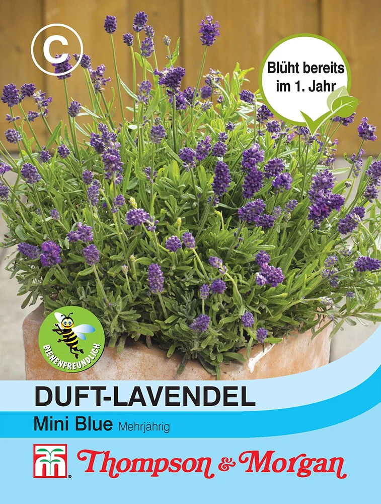 Thompson & Morgan | Duft Lavendel Mini Blue