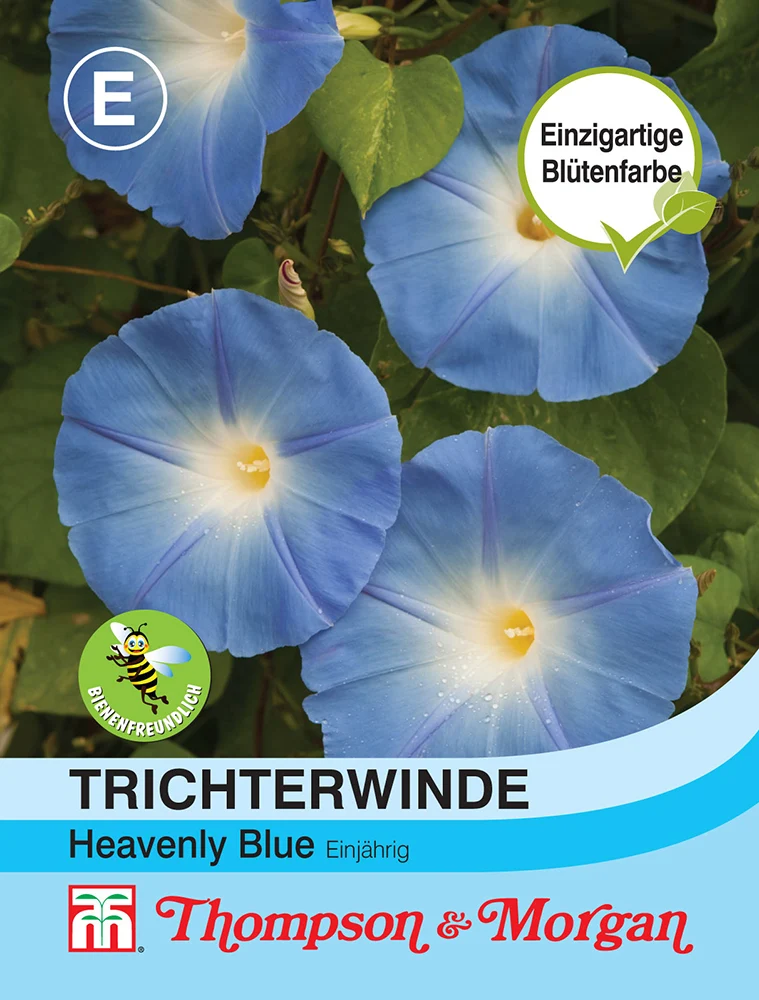 Thompson & Morgan | Trichterwinde Heavenly Blue