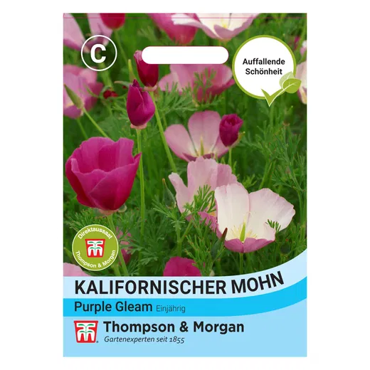 Thompson & Morgan | Kalifornischer Mohn 'Purple Gleam'
