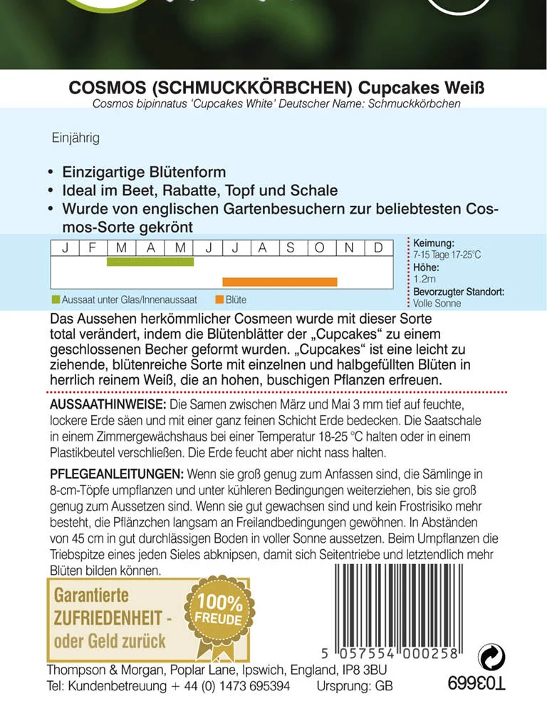 Thompson & Morgan | Schmuckkörbchen Cupcake Weiß (Cosmos)