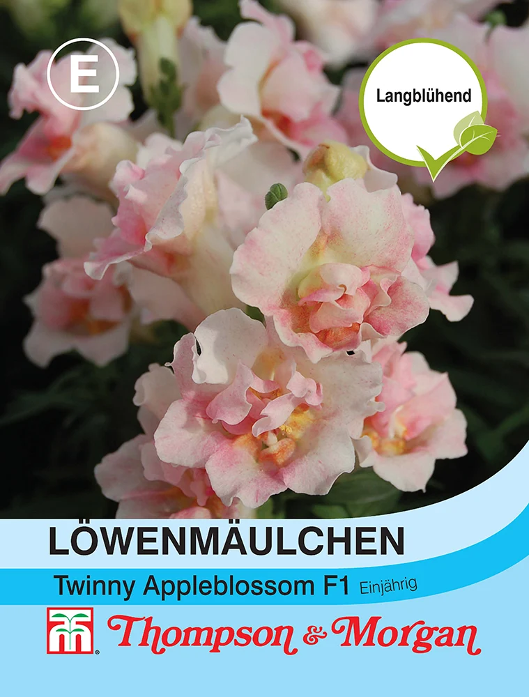 Thompson & Morgan | Löwenmaul Twinny Appleblossom F1 Hybride