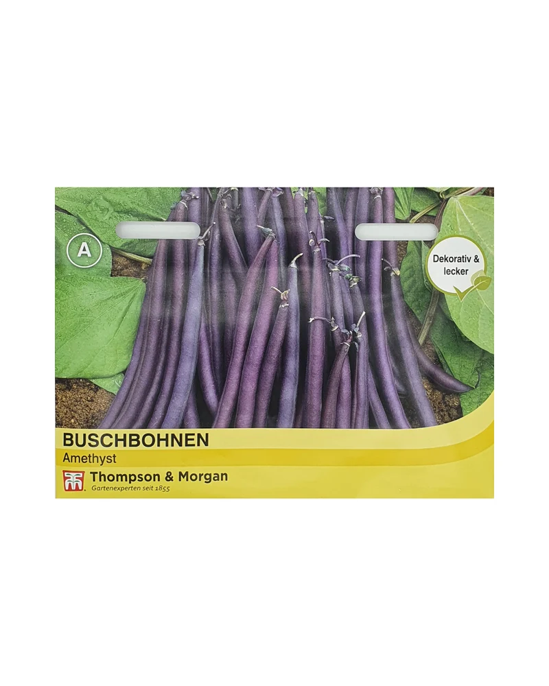 Thompson & Morgan | Buschbohnen Amethyst
