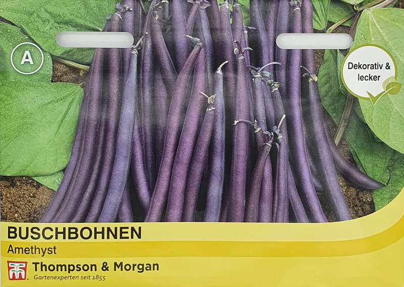 Thompson & Morgan | Buschbohnen Amethyst