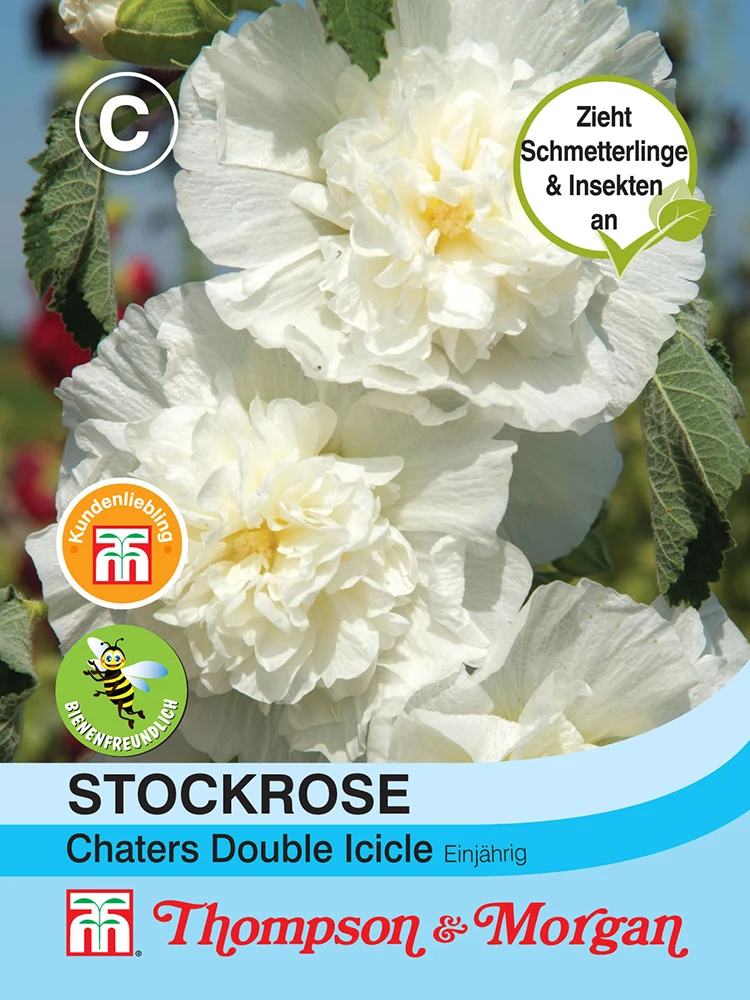 Thompson & Morgan | Stockrose Chaters Double Icicle