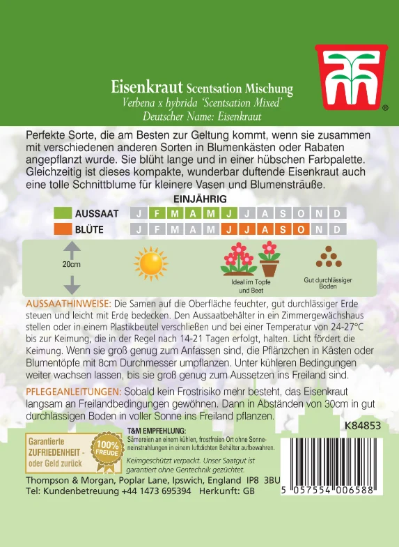 Thompson & Morgan | Eisenkraut Scentsation Mischung