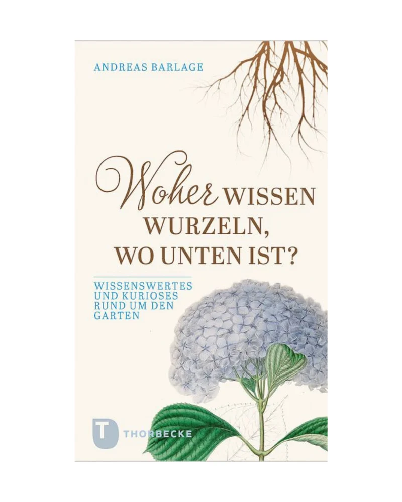 Woher wissen Wurzeln, wo unten ist?