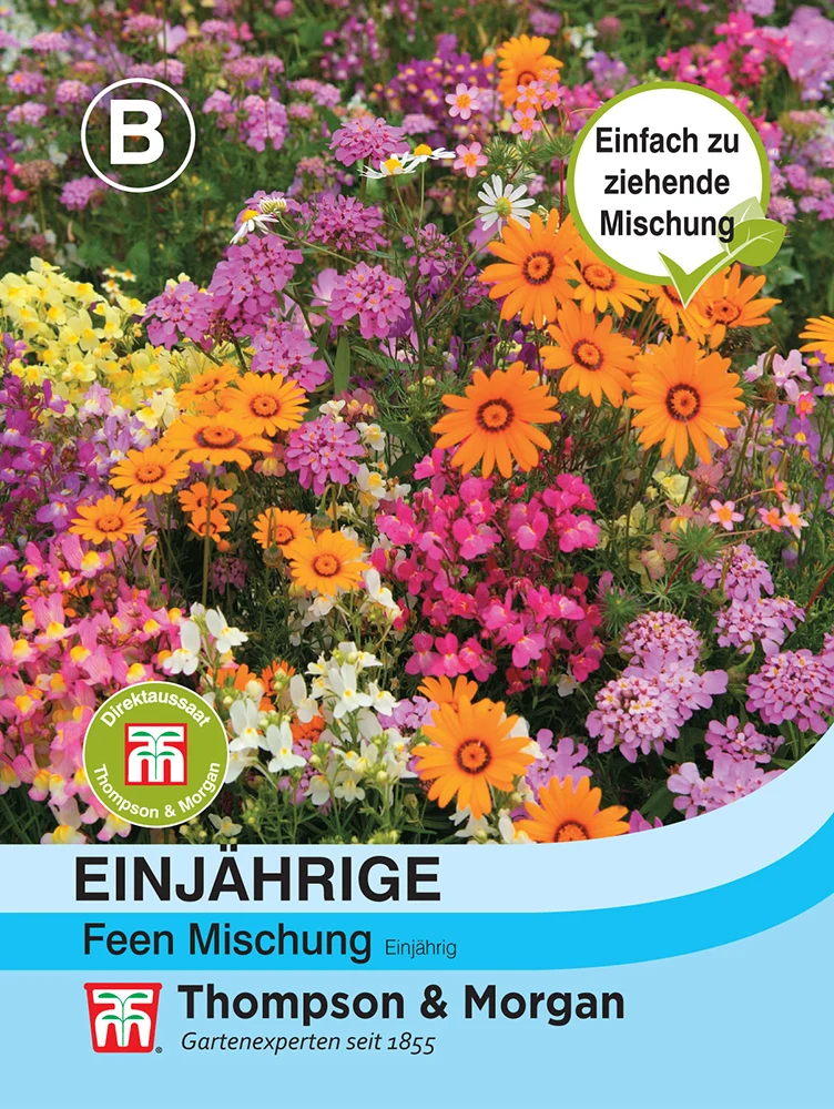 Einjährige Feen Mischung