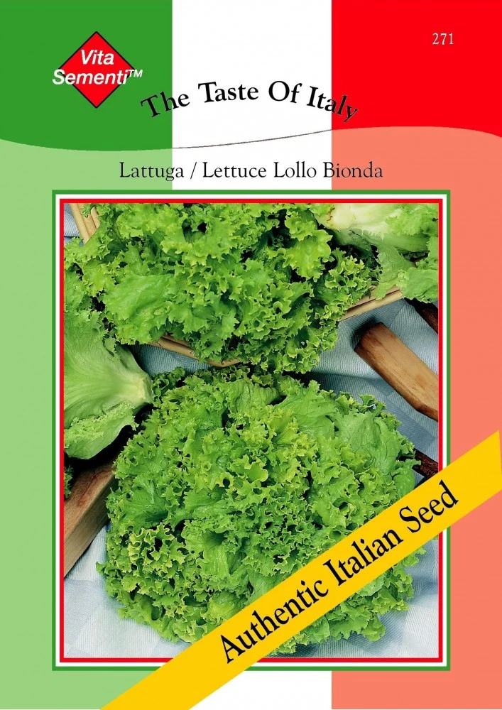 Salat Lattuga Lollo Bionda
