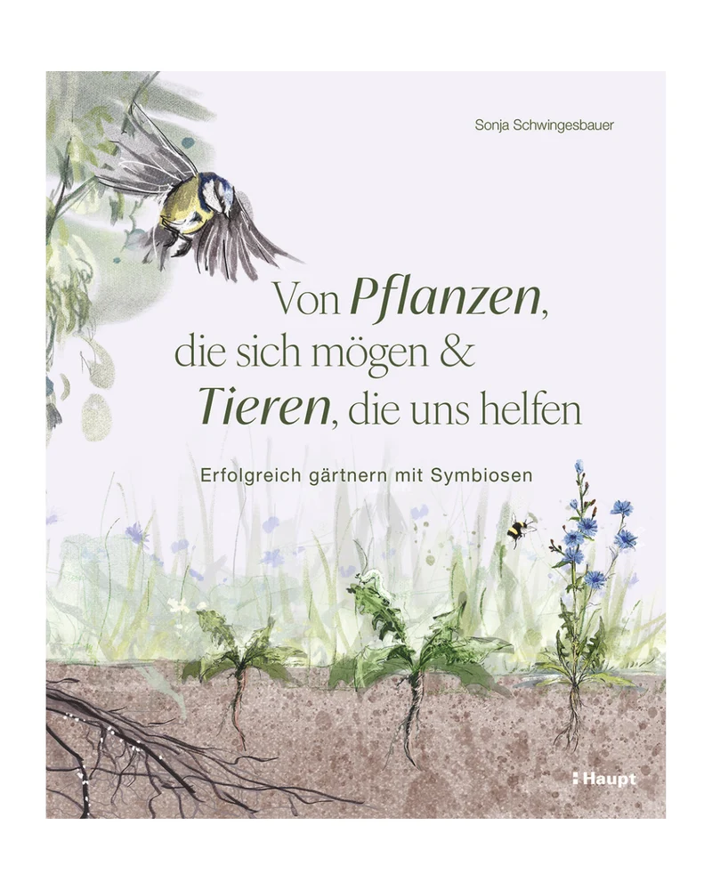 Von Pflanzen, die sich mögen, und Tieren, die uns helfen | Erfolgreich gärtnern mit Symbiosen