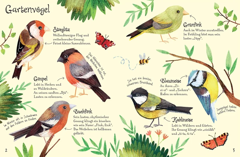 Usborne Minis | Naturführer Vögel mit 60 Stickern