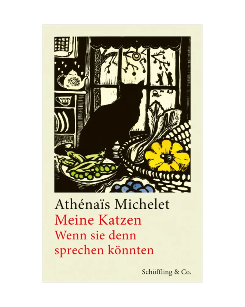 Meine Katzen | Wenn sie sprechen könnten