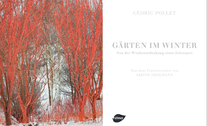 Gärten im Winter