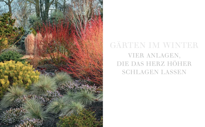 Gärten im Winter