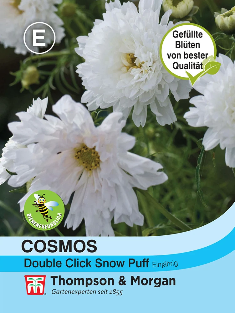 Thompson & Morgan | Cosmos (Schmuckkörbchen) Double Click Snow Puff